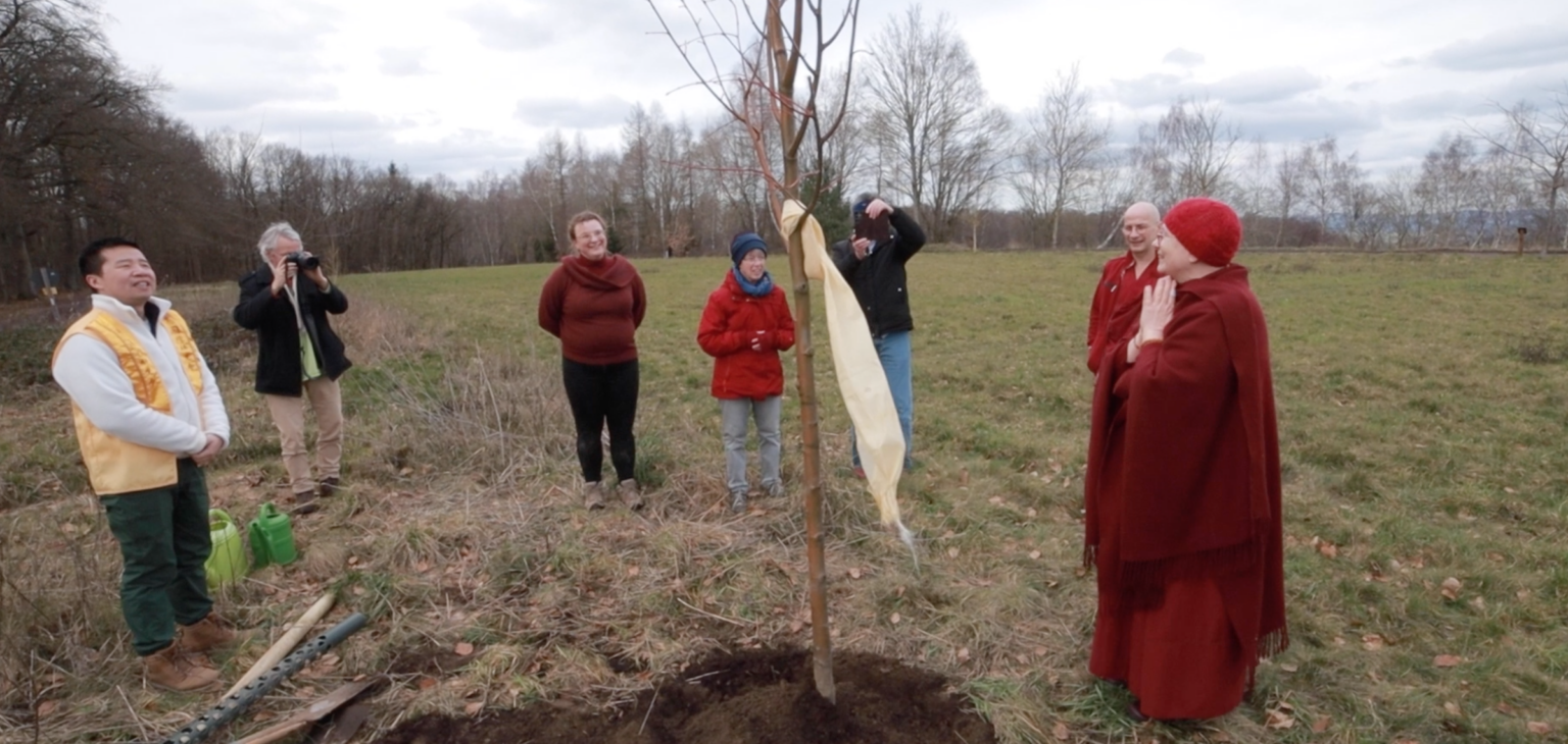 Grünes Vesakh – lasst uns einen Vesakh-Wald pflanzen! 